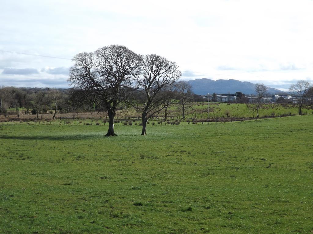 The Red Cottage & Stables Sligo Exterior foto